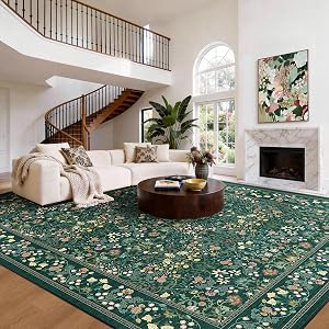 AMADA HOMEFURNISHING 8x10 Washable Area Rugs for Living Room, Non-Slip & Low-Profile F